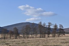 MSA_3285_kicsi