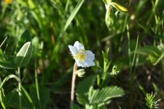 Z50_6607_fhd