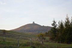 DSC_7966