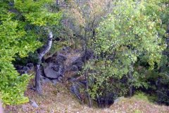 normal_kztura2003_07