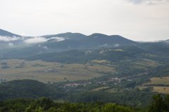 DSC_1250