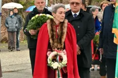Z50_1812.JPG