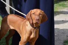 DSC_20220430-140307